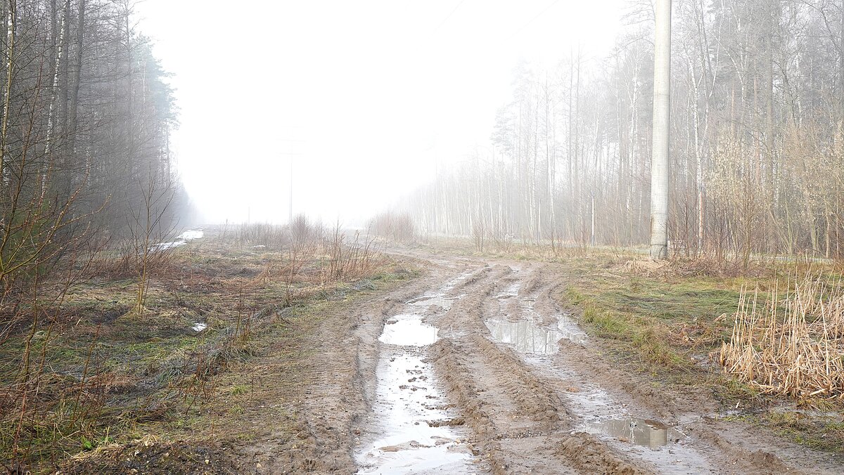 Апрельская дорога - Татьяна Тюменка Апрельская дорога - Татьяна Тюменка
