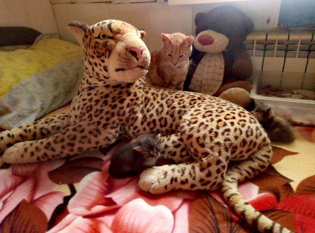 ** - Сергей Кочнев