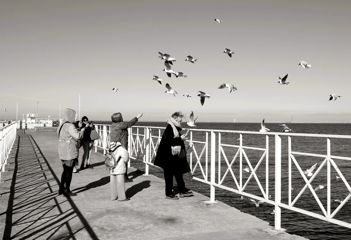 Люди и чайки - Наталья Герасимова