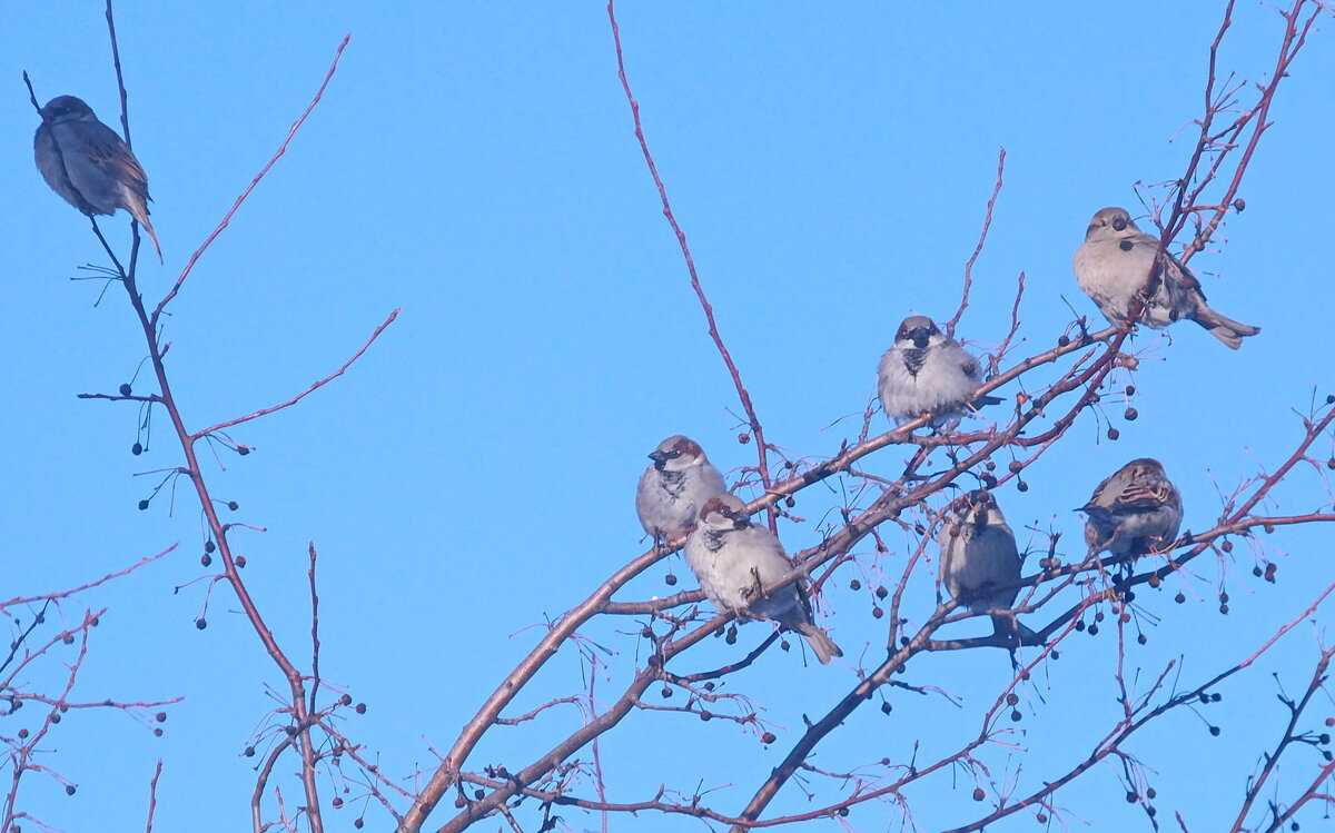 На весеннем солнце. - сергей ермошкин На весеннем солнце. - сергей ермошкин
