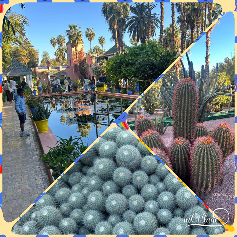 Сад Мажорель - peretz 