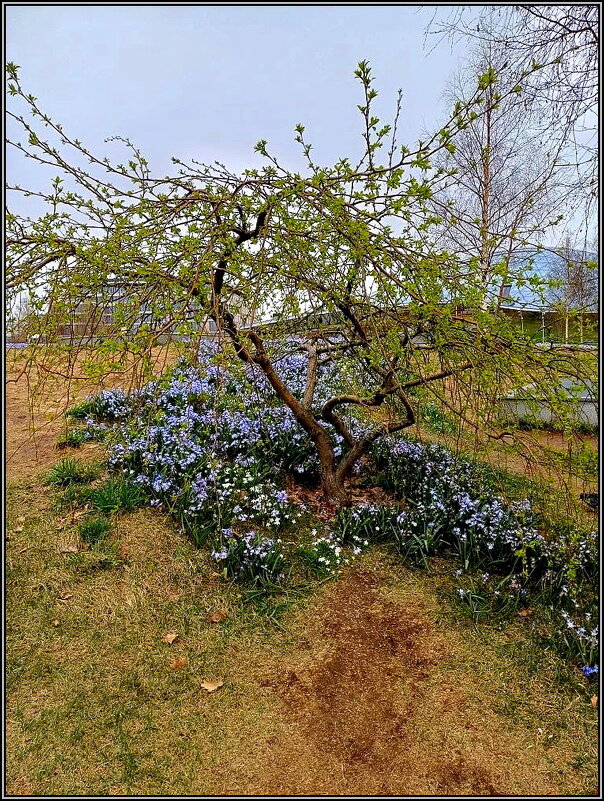Пробуждение - Ольга Довженко