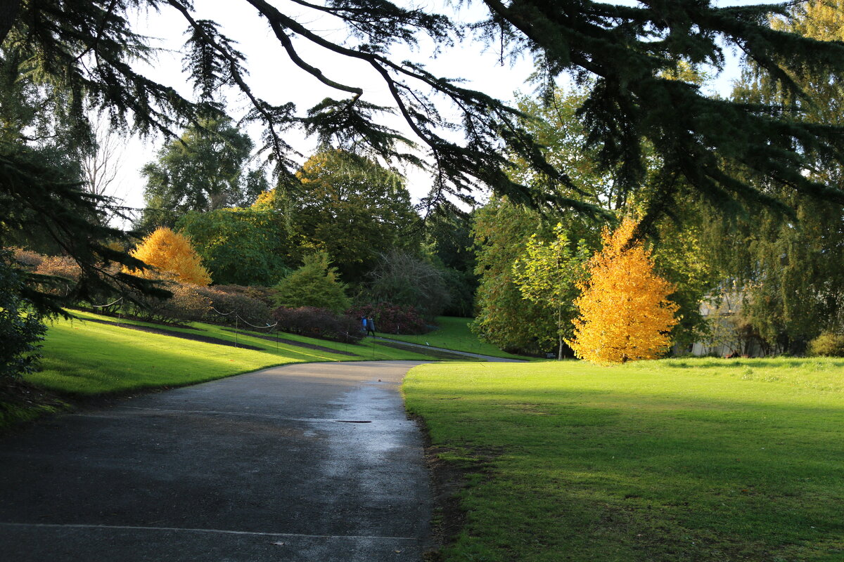 Дорожки ботанического сада - Ольга 