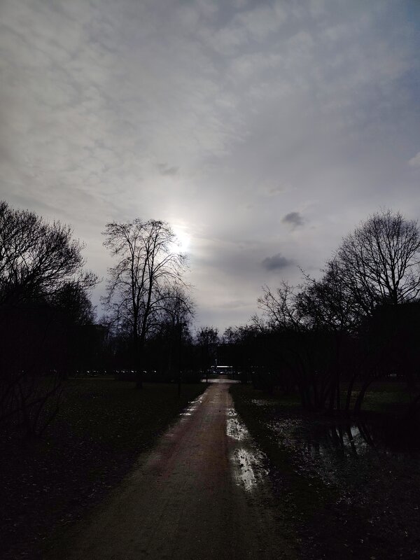 Вечерние краски - Андрей 