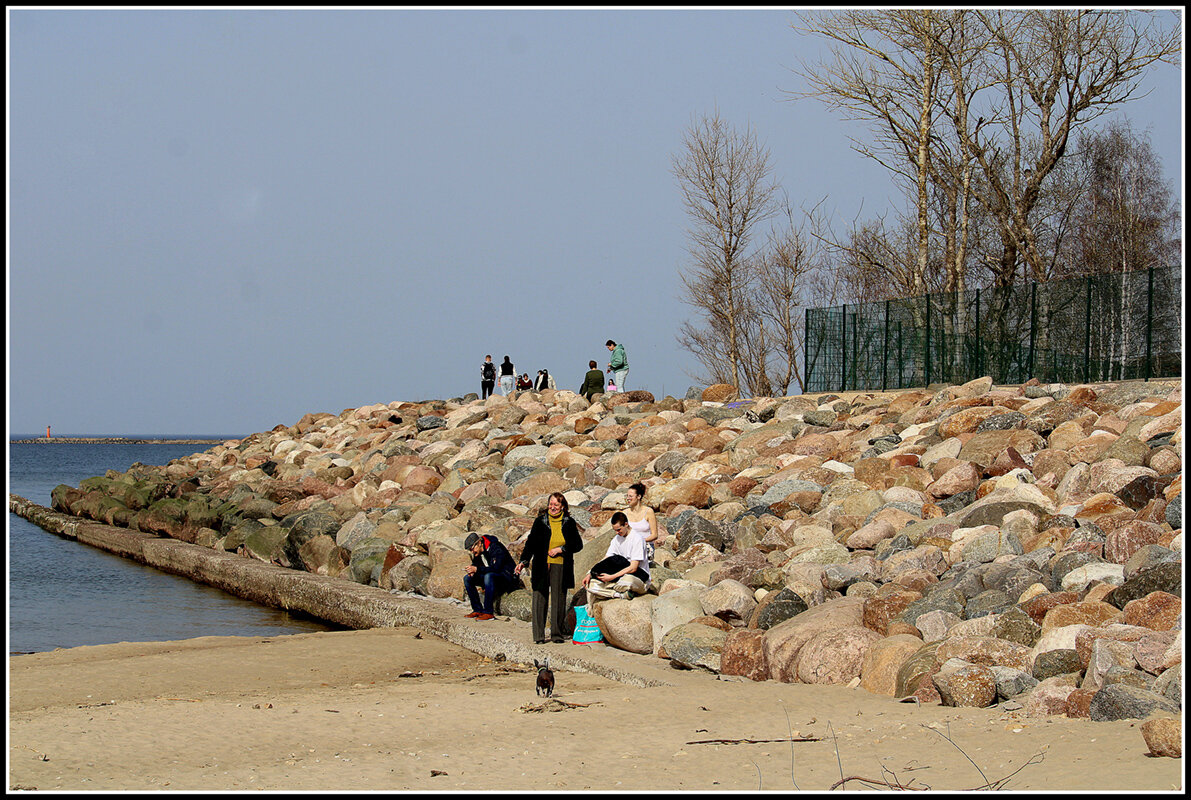 *** - Aleksandr Gal *** - Aleksandr Gal