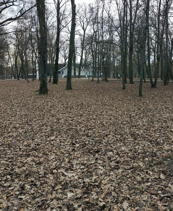 *** - Валентина Береснева