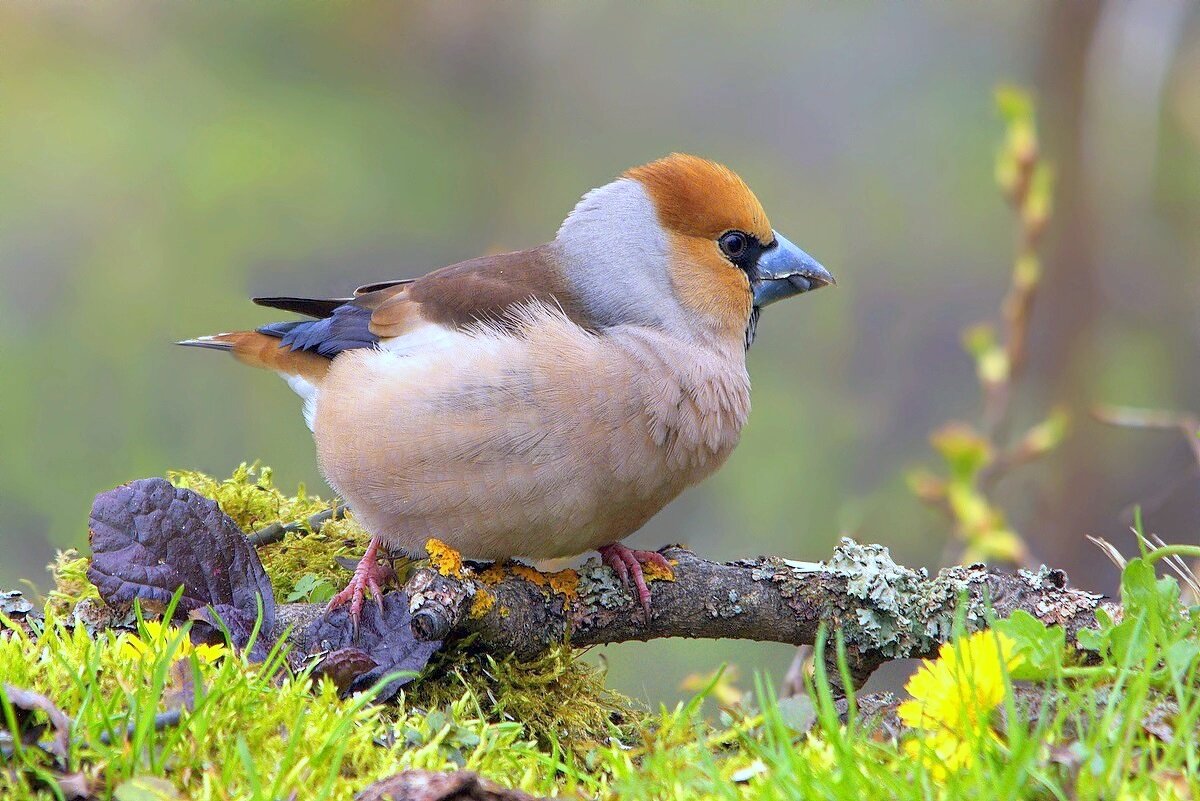 ... - Вячеслав Минаев