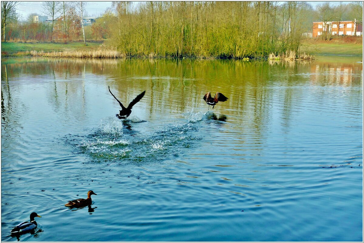 НА ОЗЕРЕ... - Elvira E. 