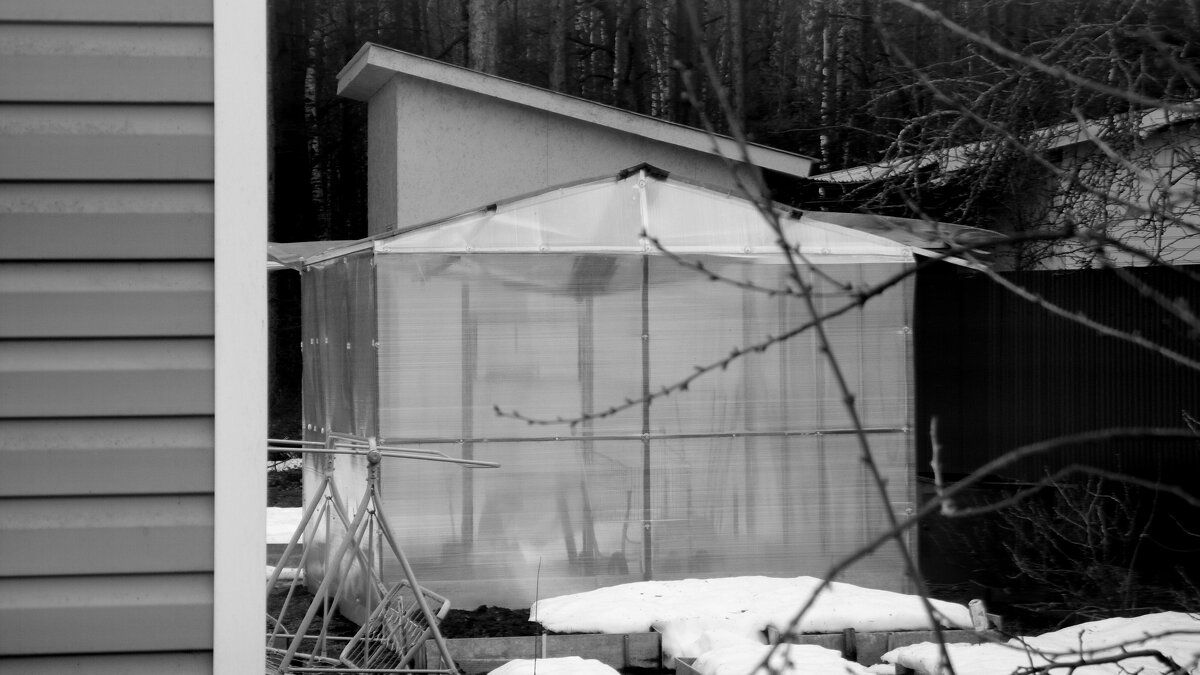 Мечты о ч/б Лейке 99. - Михаил Елочкин