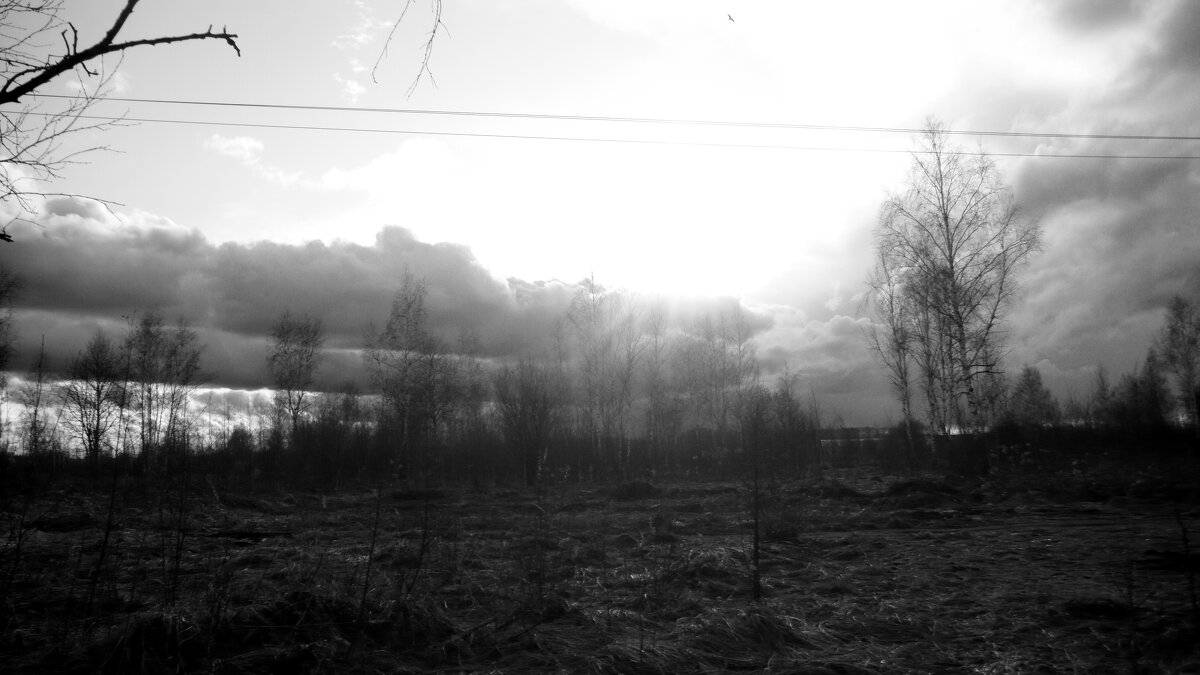 Мечты о ч/б Лейке 100. - Михаил Елочкин Мечты о ч/б Лейке 100. - Михаил Елочкин