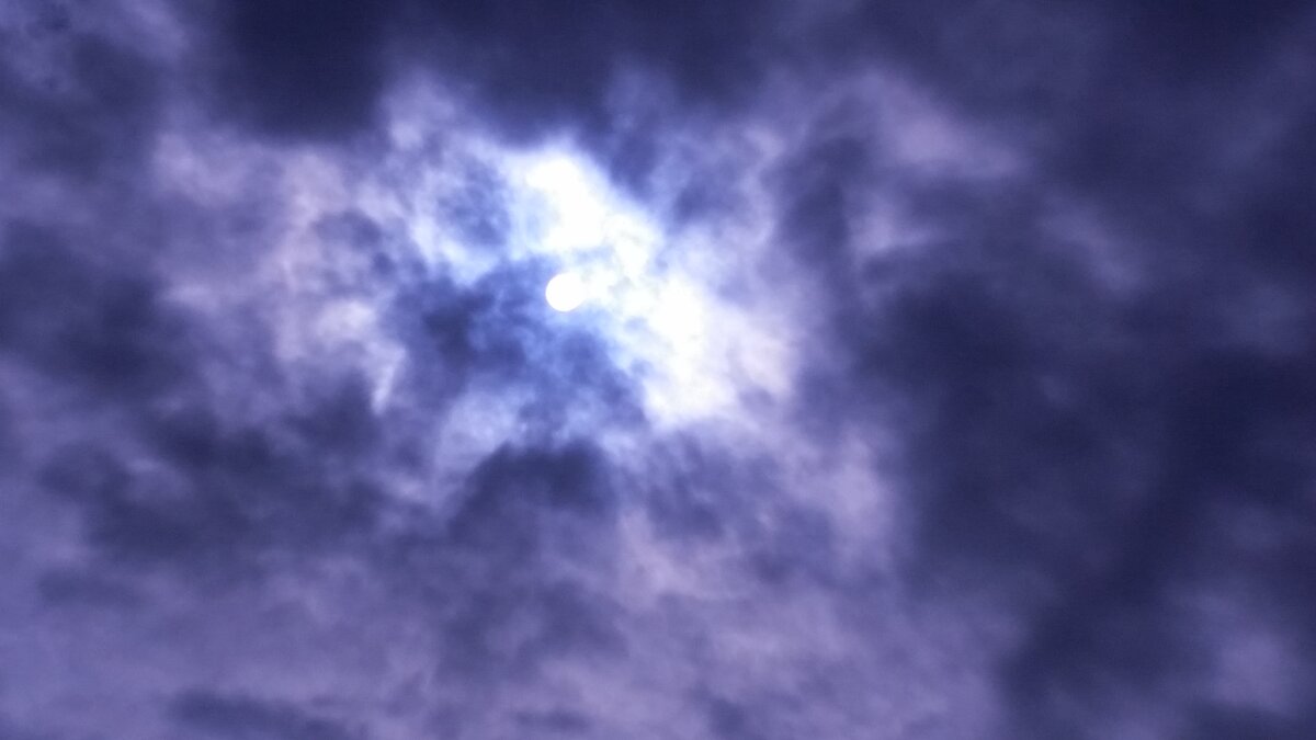 116 (7) - СТРЕН 116 (7) - СТРЕН