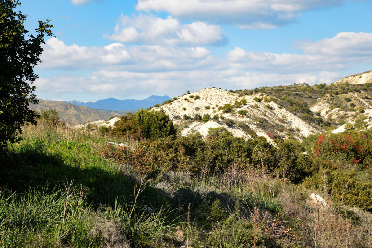 Ландшафт - Олег 