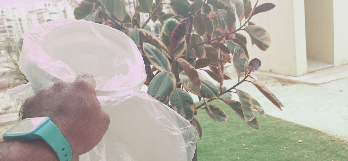 14  КЛОС (115) - CLOSE WAYS ALL