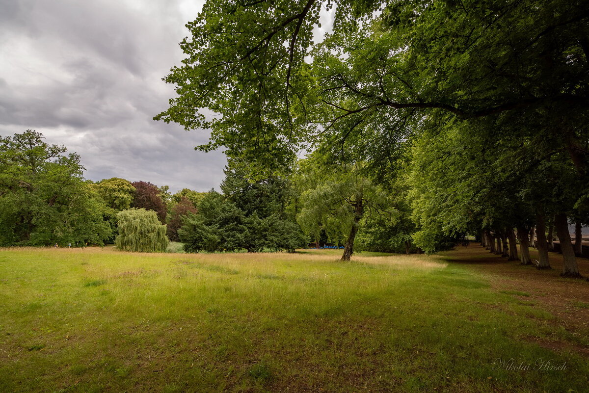 В июльском парке... - Николай Гирш