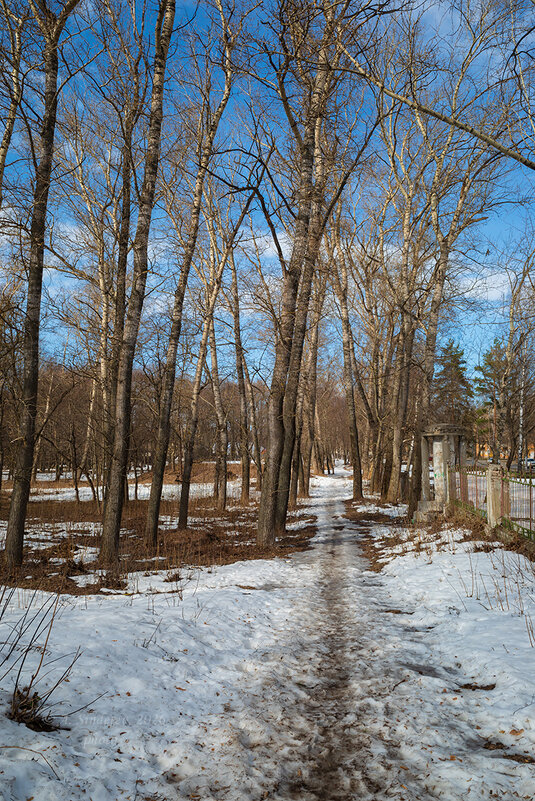 Природа марта - Александр Синдерёв