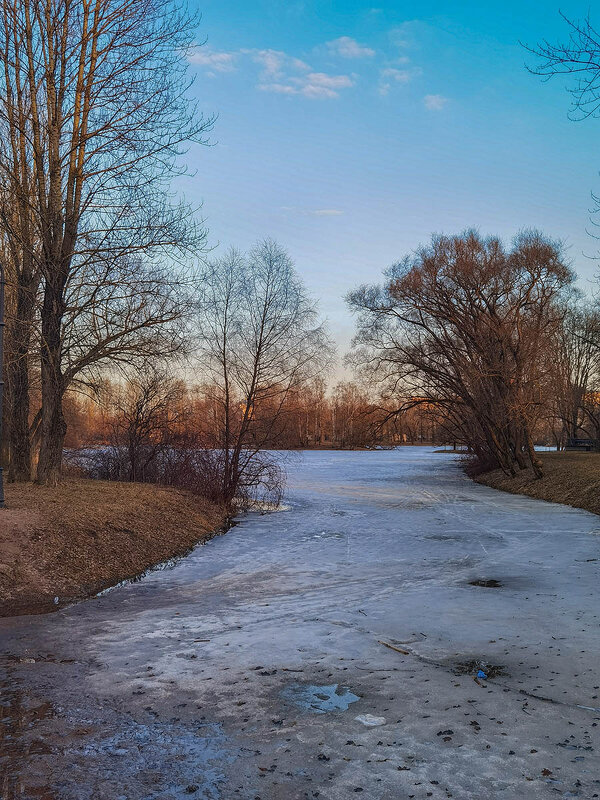 Весенние зарисовки  в парке Победы. - Лилия *