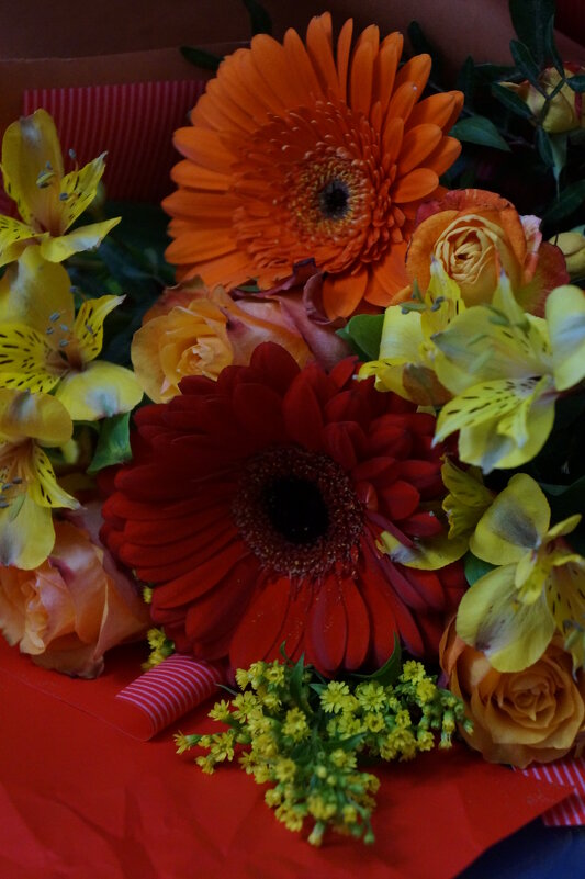 * * * - Алёна Савина