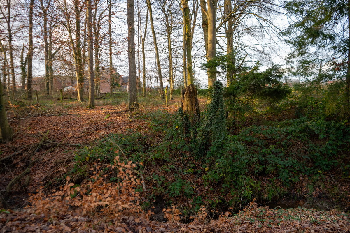 *** - Николай Гирш