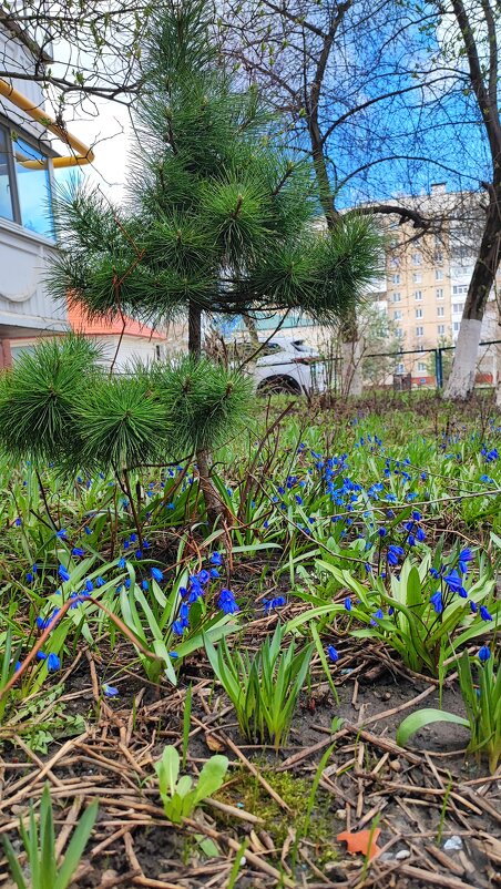 ,,, - Сергей Тимоновский