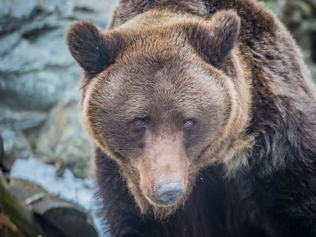 ВАЛЯ - Аркадий Лаптенко