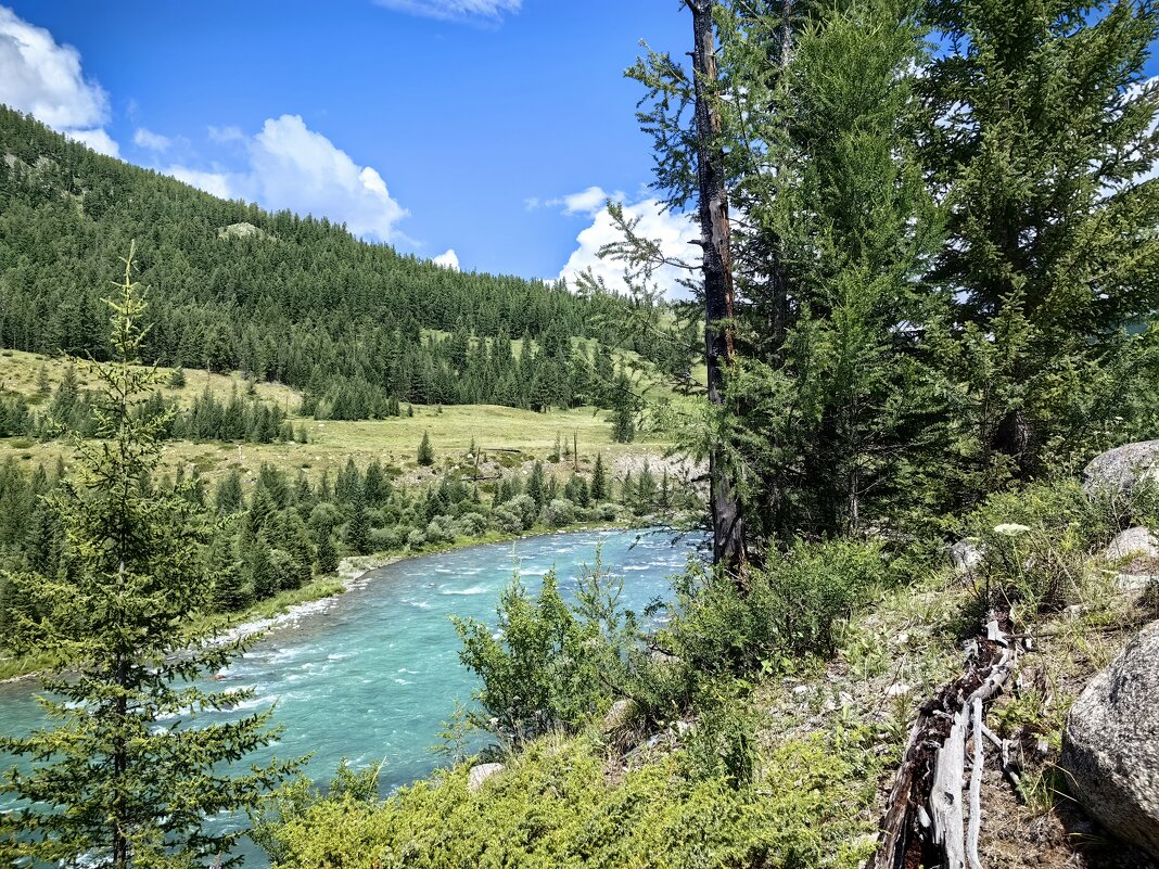 Краски лета - Галина Козлова 