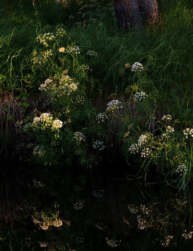 зеркальце - Александр Лебедев