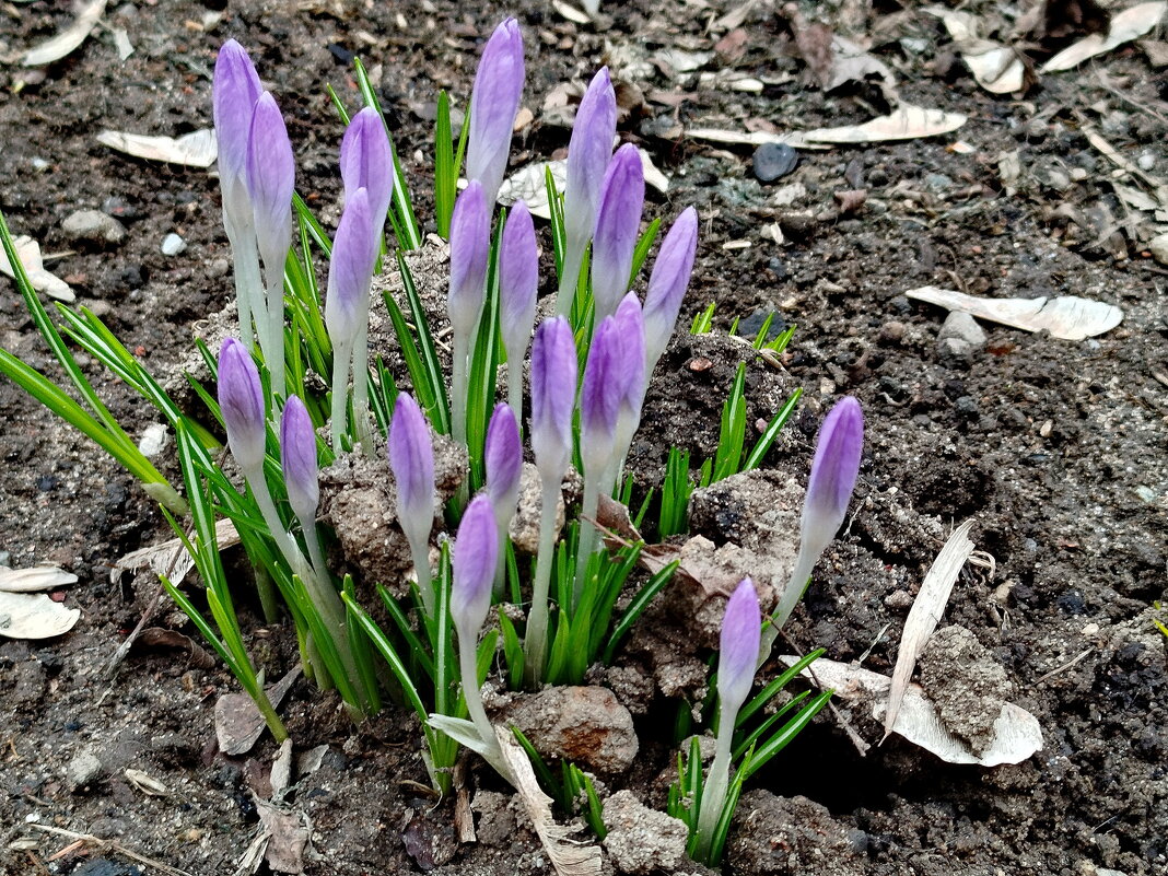 Молодым везде у нас дорога! - Александр Чеботарь