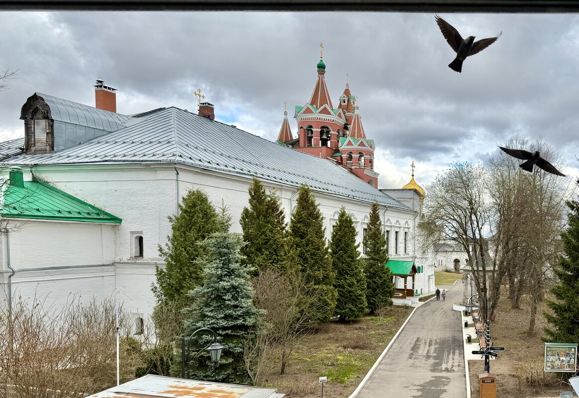 Свободных птиц полет… - Любовь Свободных птиц полет… - Любовь