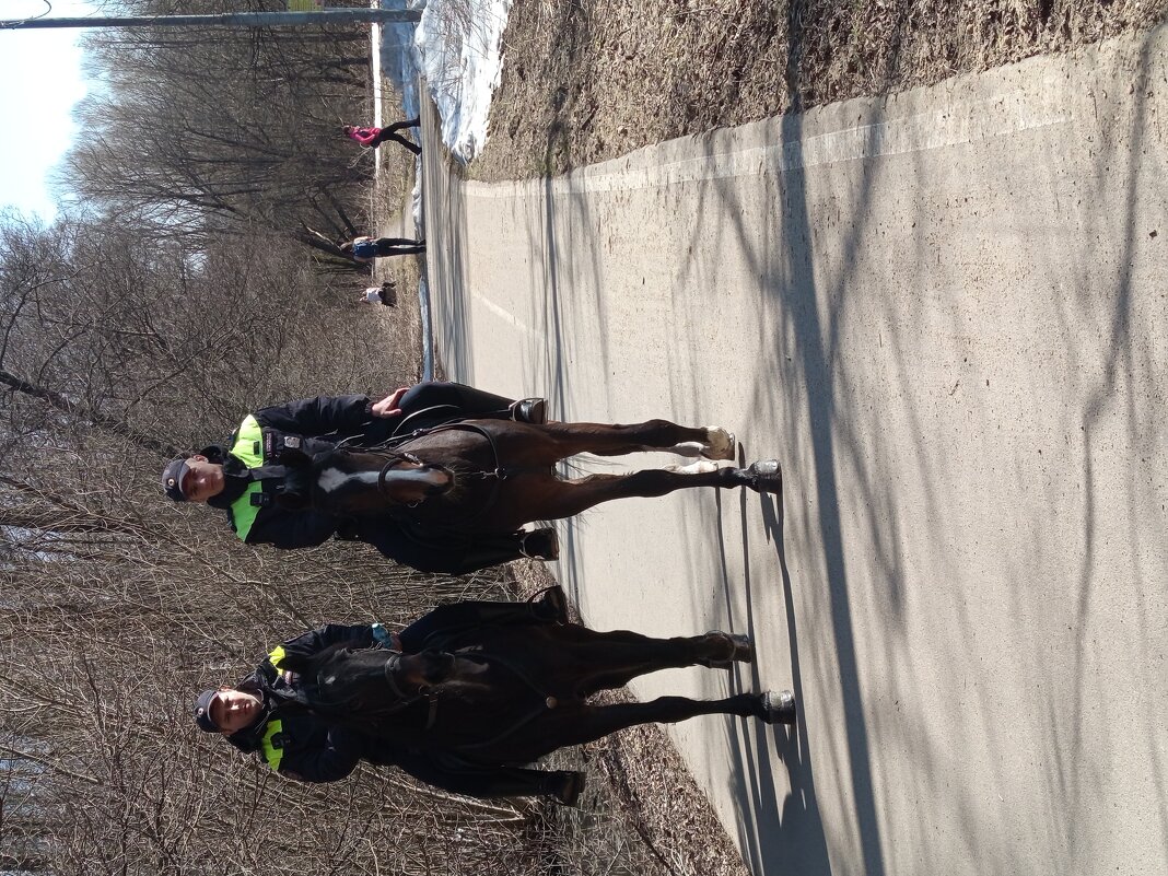 Московские типы - Андрей Лукьянов Московские типы - Андрей Лукьянов