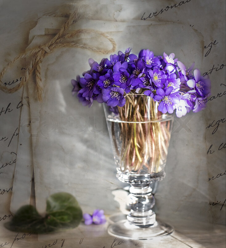 Букетик ранней весны. Вариант открытки - Bosanat Букетик ранней весны. Вариант открытки - Bosanat