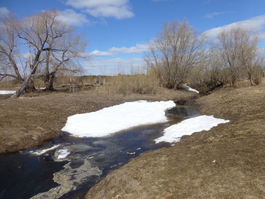 Весна в окрестностях поселка Чеускино! - Владимир 
