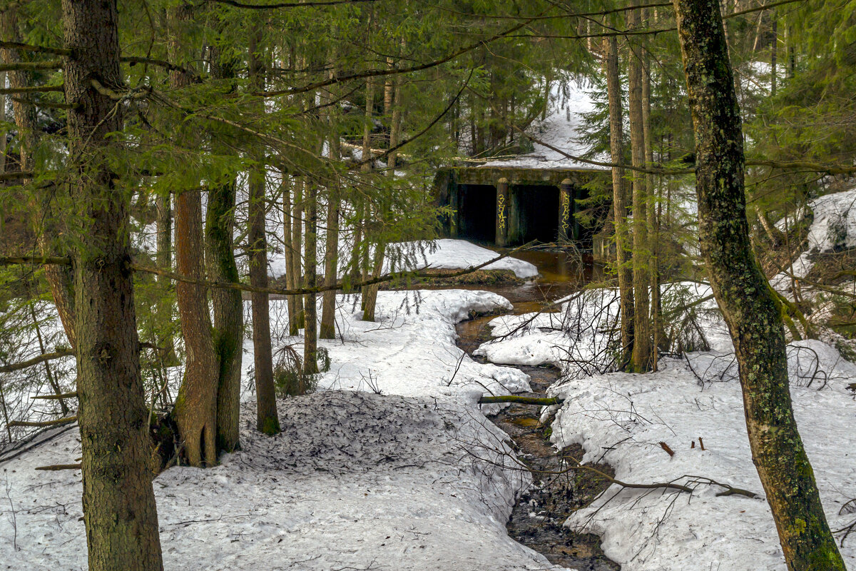 Апрельские ручьи - Сергей Цветков