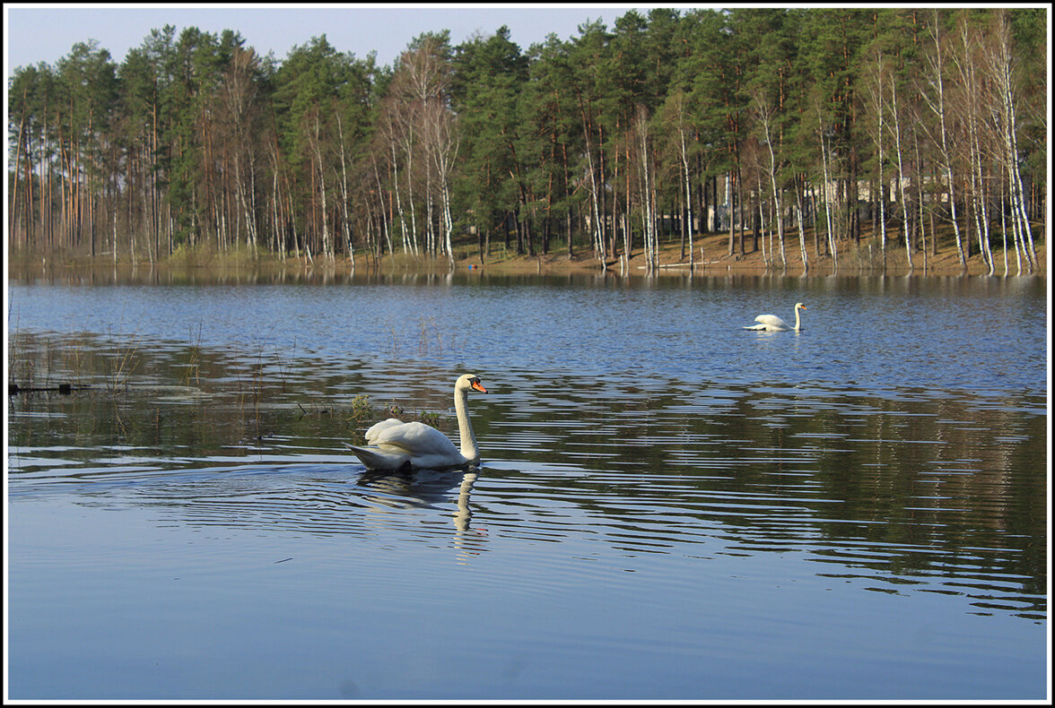 Перезимовали - Aleksandr Gal Перезимовали - Aleksandr Gal