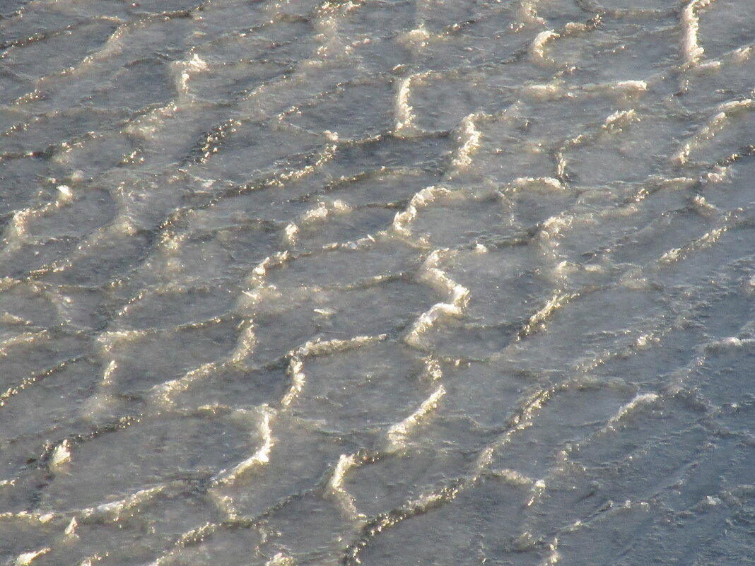 лёд . декабрь - Елена Шаламова