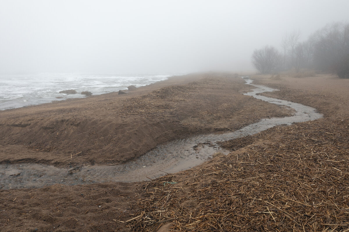 * - Светлана Воробьева