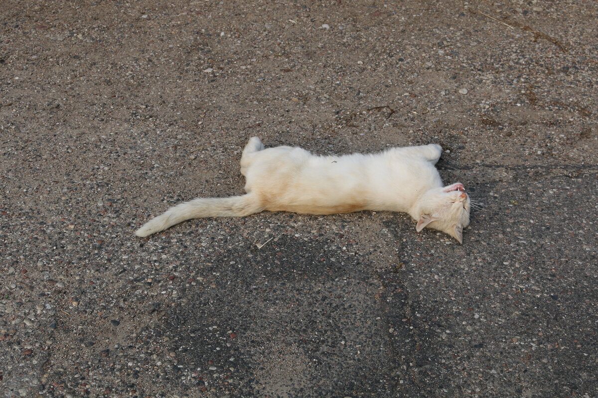 Кайф - Ольга Кайф - Ольга