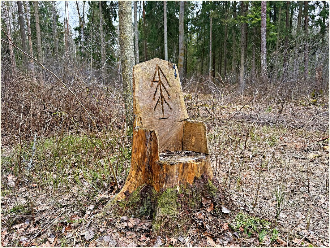 Весна. Лесная находка. - Валерия Комова