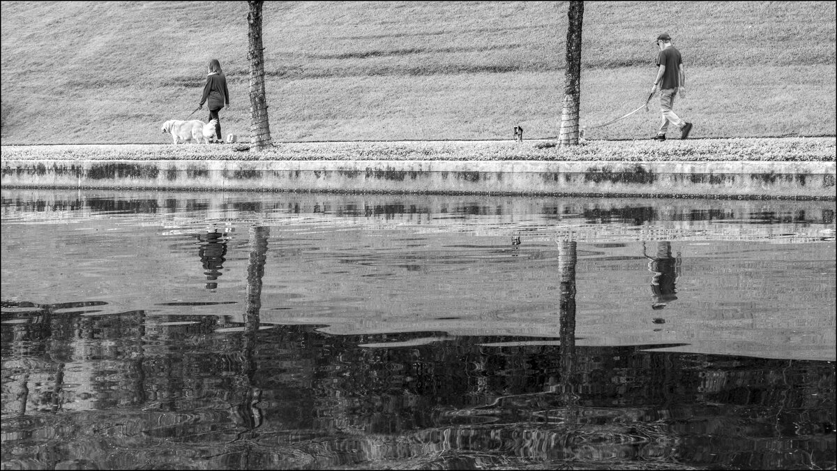 Исчезающе малая величина - **** vedin