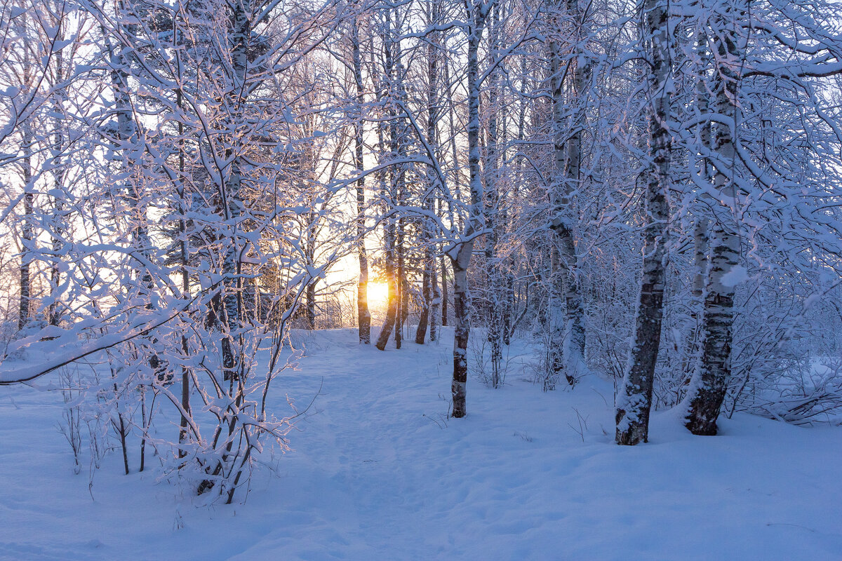 Мороз и солнце. Начало дня. - Андрей Дурапов