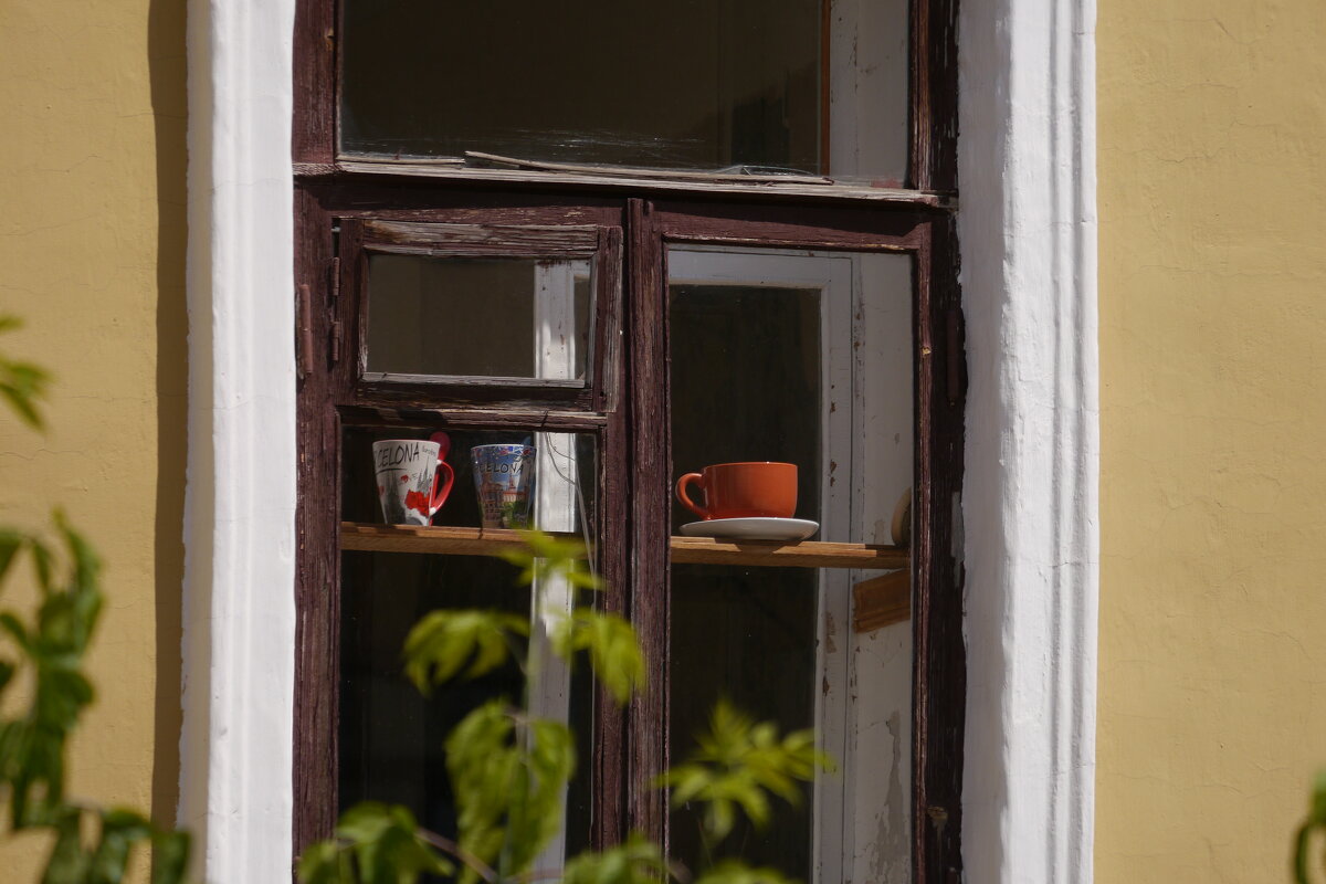 Чаепитие с ветром - Дмитрий Swan