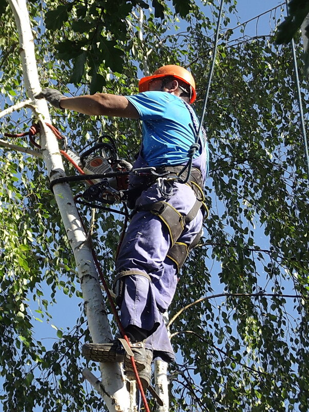 Мужская работа - Freddy 97