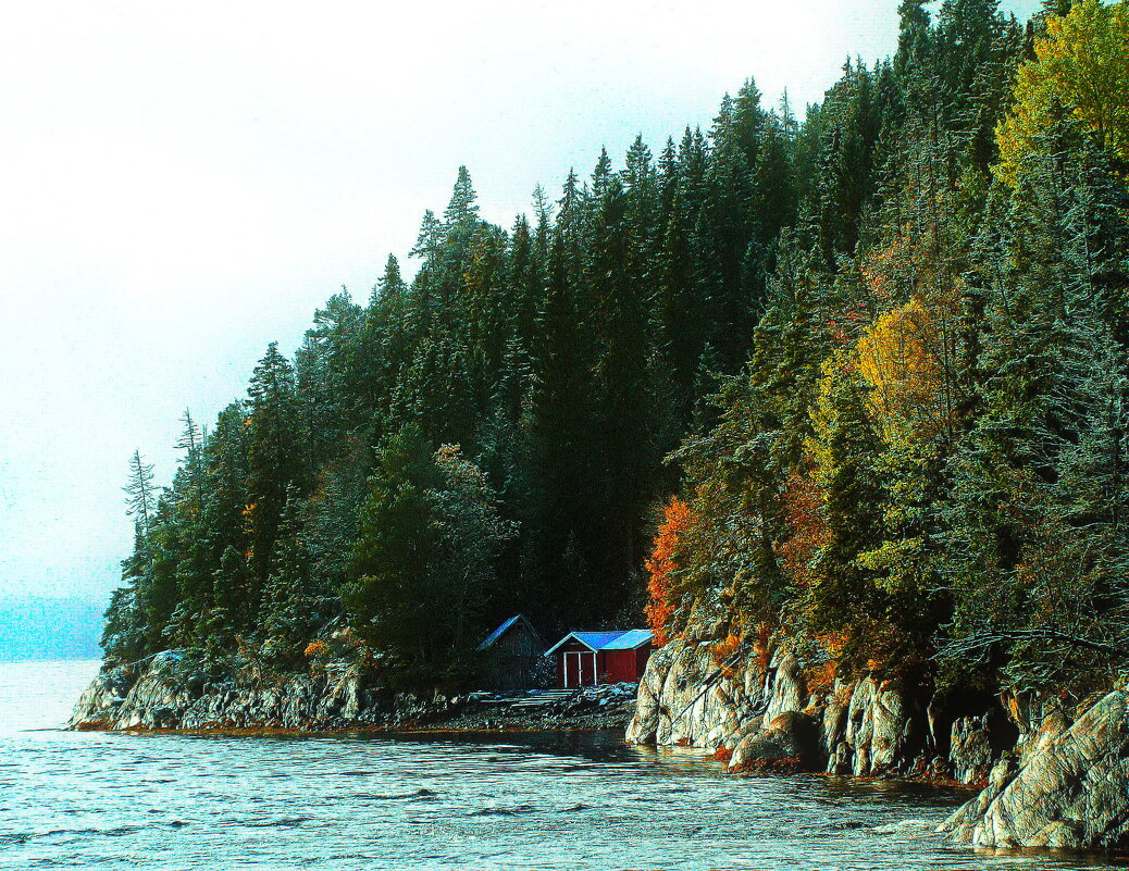 Первые заморозки - В.И 