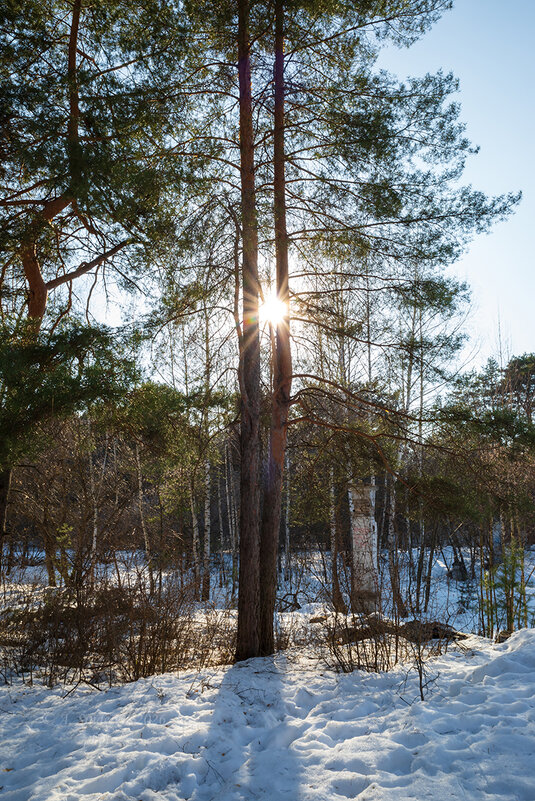 Солнце марта - Александр Синдерёв