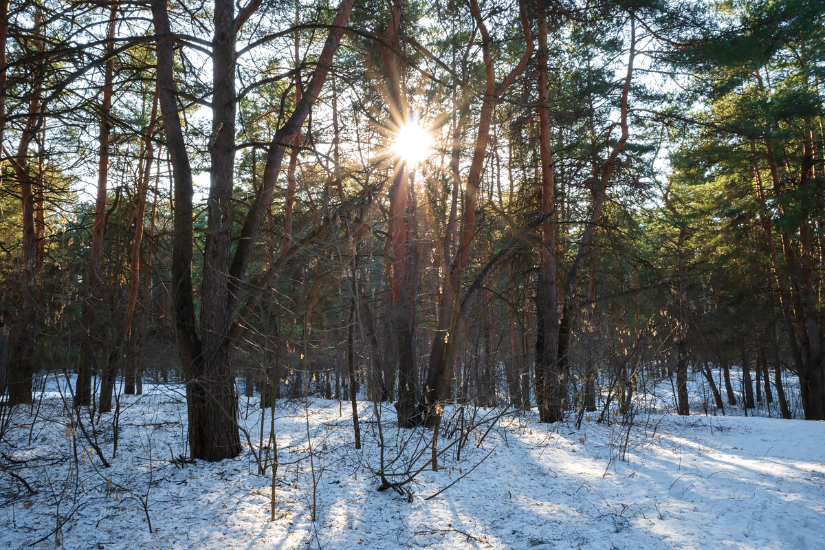 Мартовское солнце - Александр Синдерёв