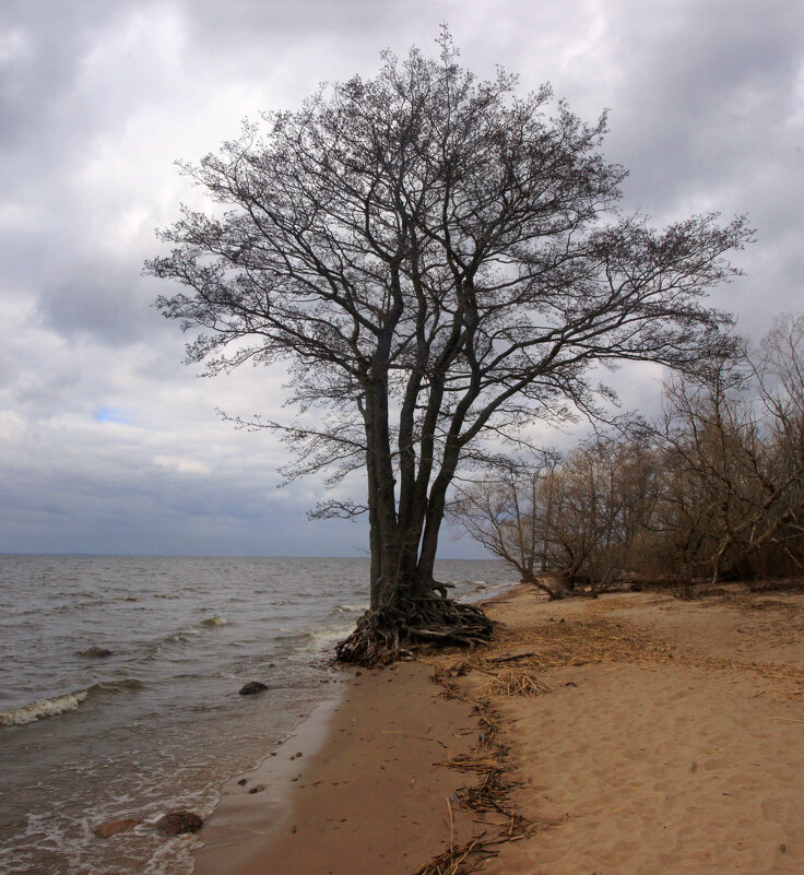 *** - Сергей Григорьев