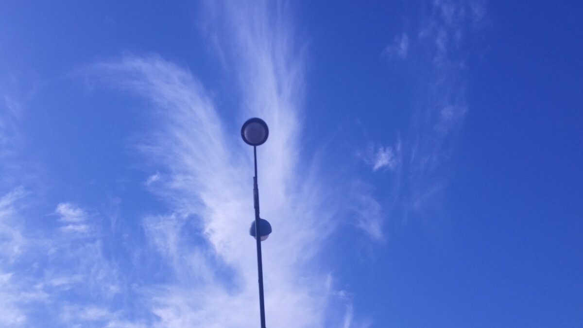 116 (11) - СТРЕН 