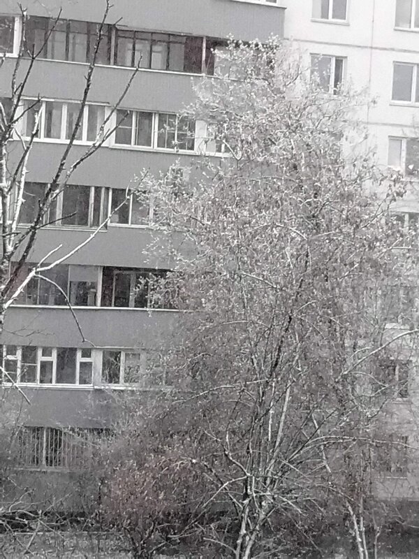 Сегодня снег выпал - Дмитрий Никитин