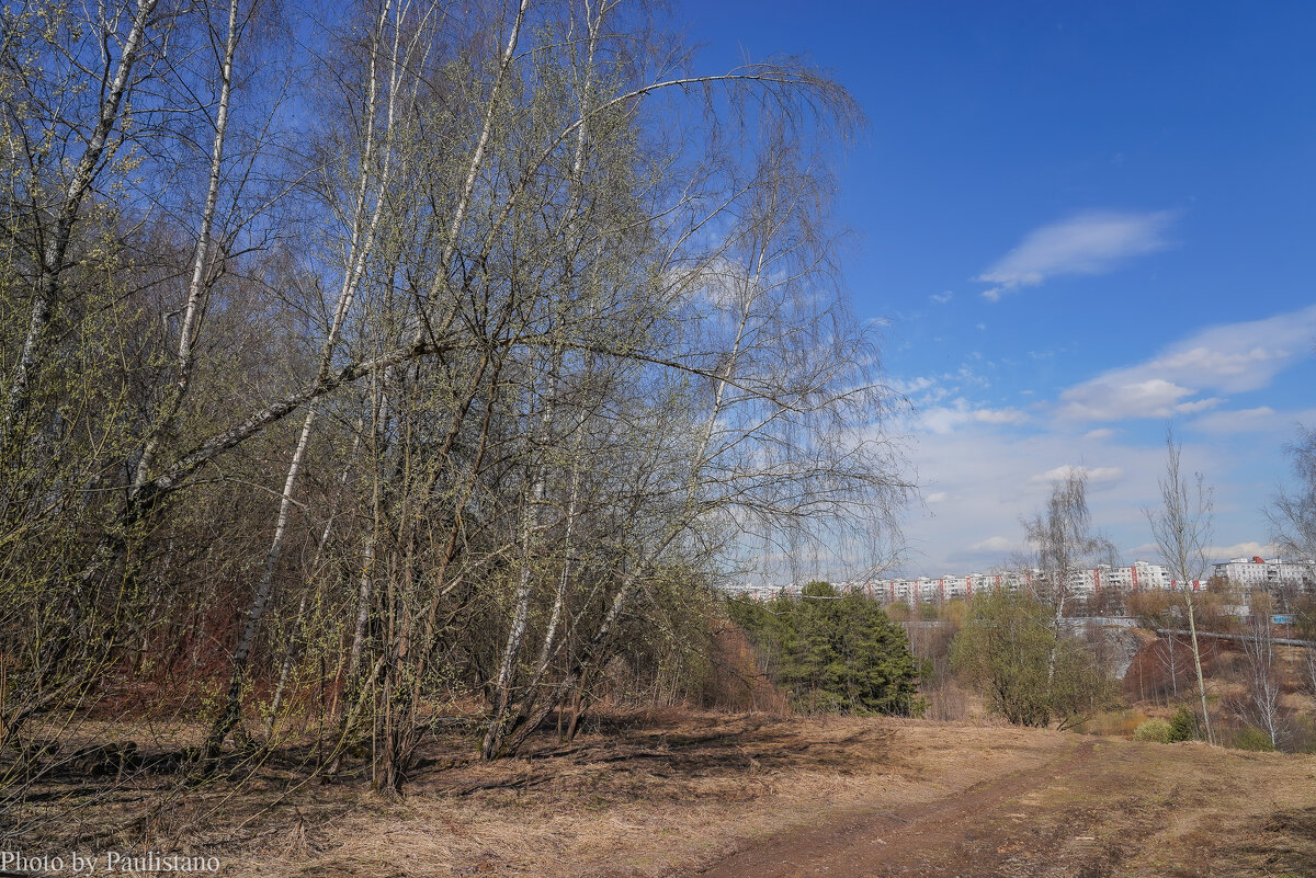 На опушке... - Владимир Жданов