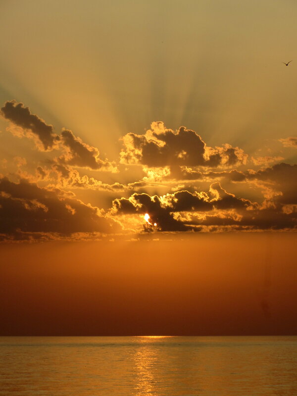 На закате - Валерий 