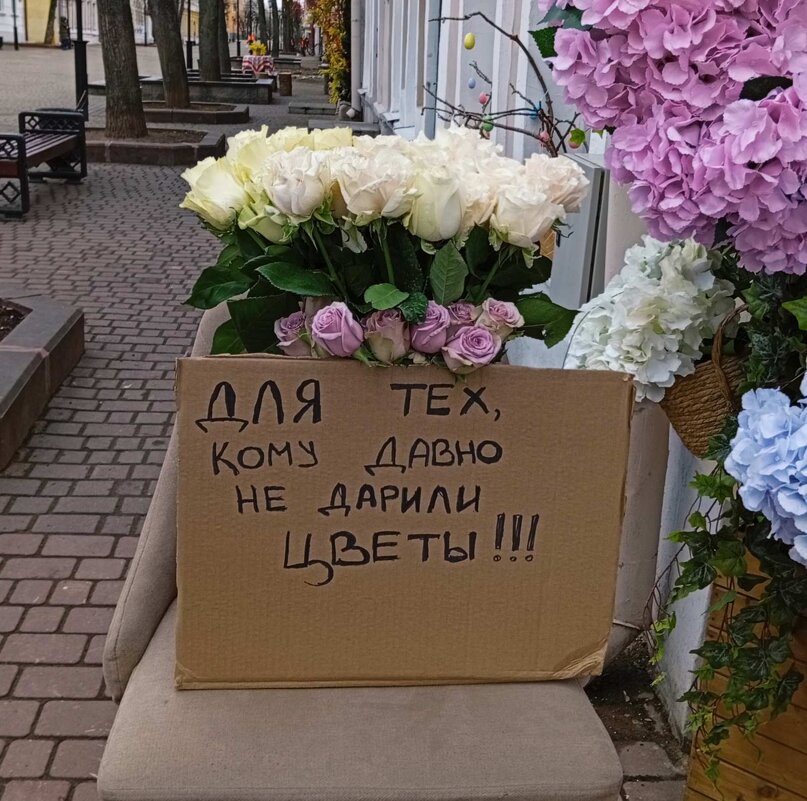 Ну какова милота?! - Галина Бобкина